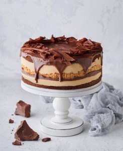 Tort-Snikers